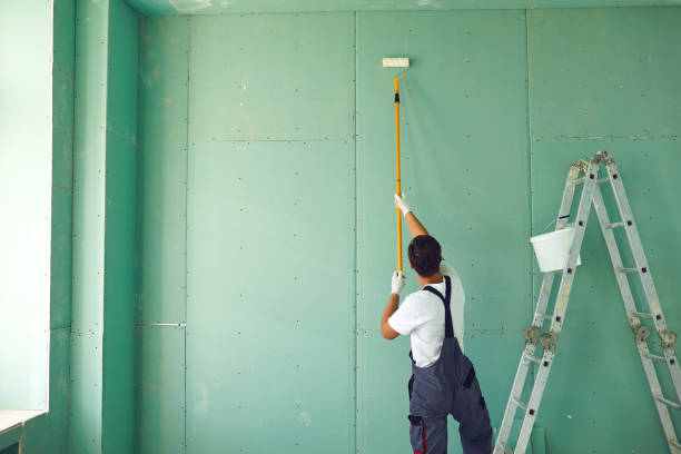 Best Commercial Mold Inspection  in Graysville, TN