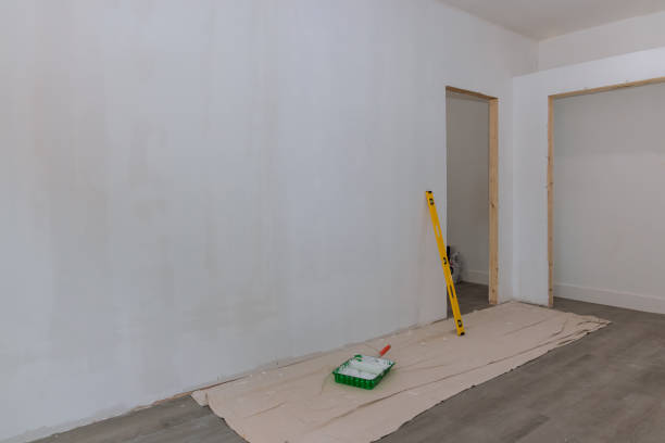 Best Post-Construction Mold Inspection  in Graysville, TN