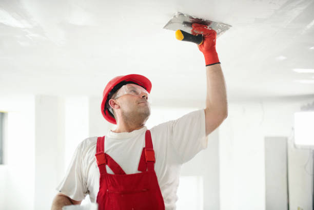Best Asbestos and Lead Testing During Mold Inspection  in Graysville, TN